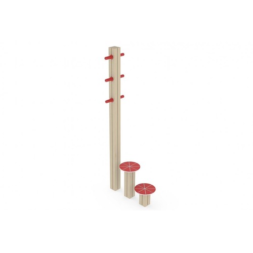 ULG-CAL-025 - Calisthenics - Front Ladder thumbnail 1