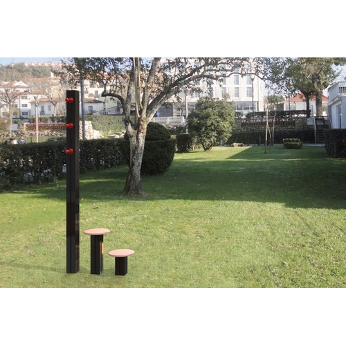 ULG-CAL-025 - Calisthenics - Front Ladder thumbnail 3