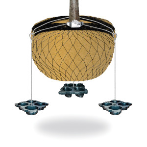 ULG-TAS-001 - Underground Tree Anchoring System