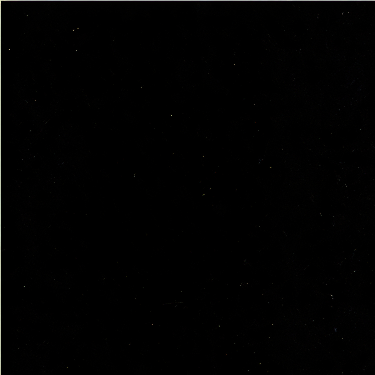 ULG-BSL-013 - G684 Black Basalt