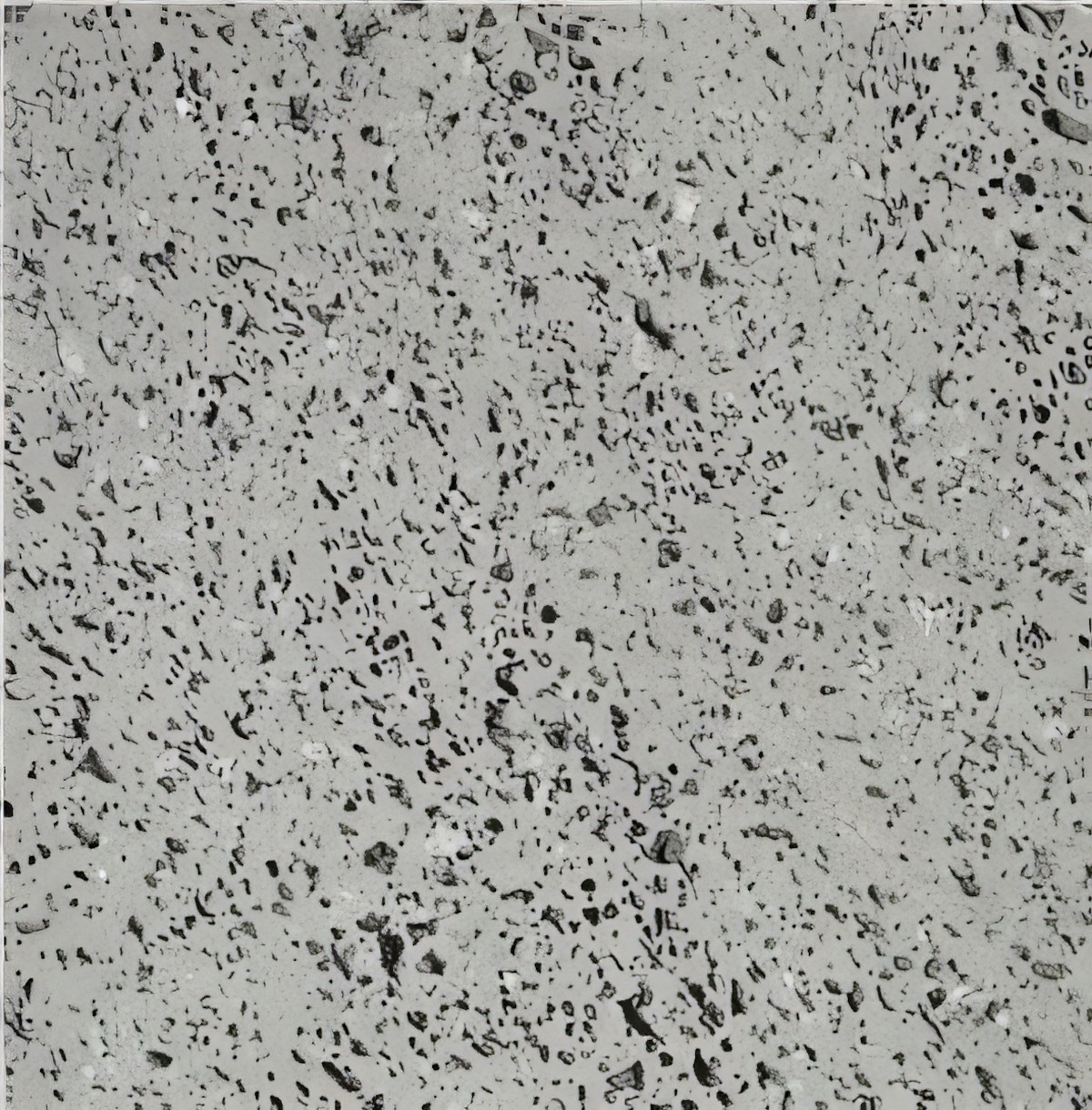 ULG-BSL-018 - Basalto Dos Acores