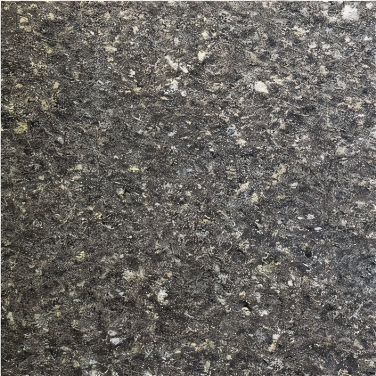 ULG-BSL-026 - Leon Basalt