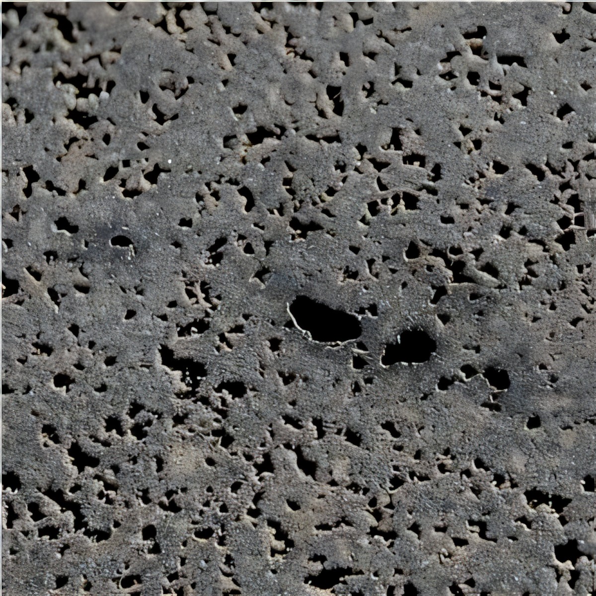 ULG-BSL-029 - Timaru Basalt