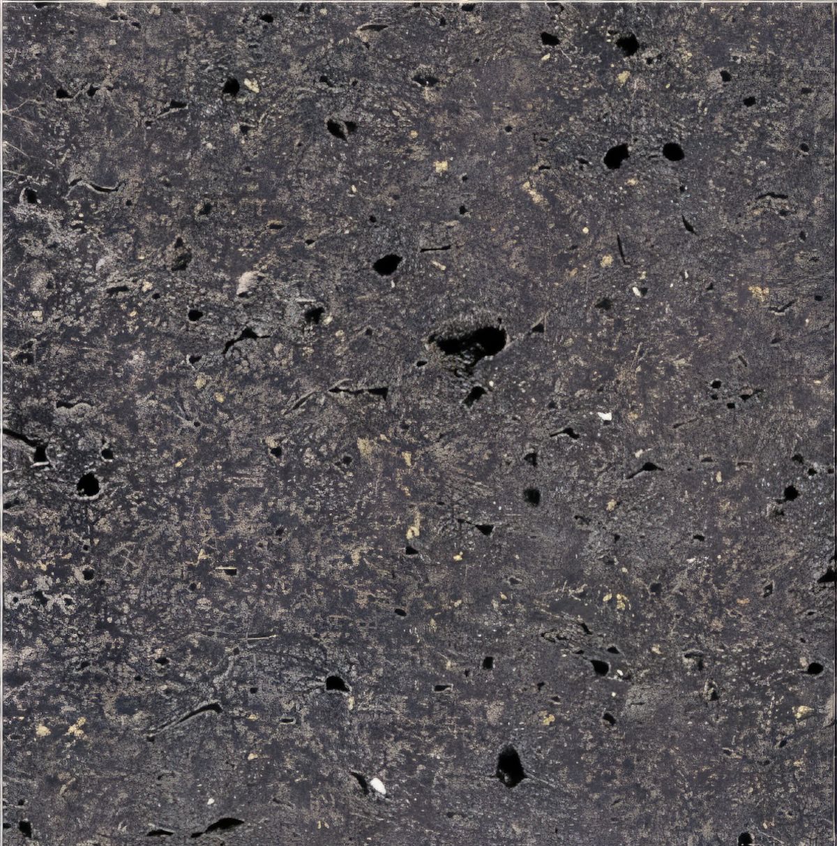 ULG-BSL-035 - Basalt With Holes