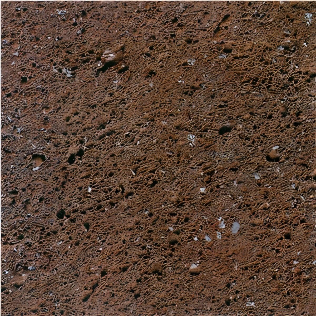 ULG-BSL-040 - Red Volcanic Basalt