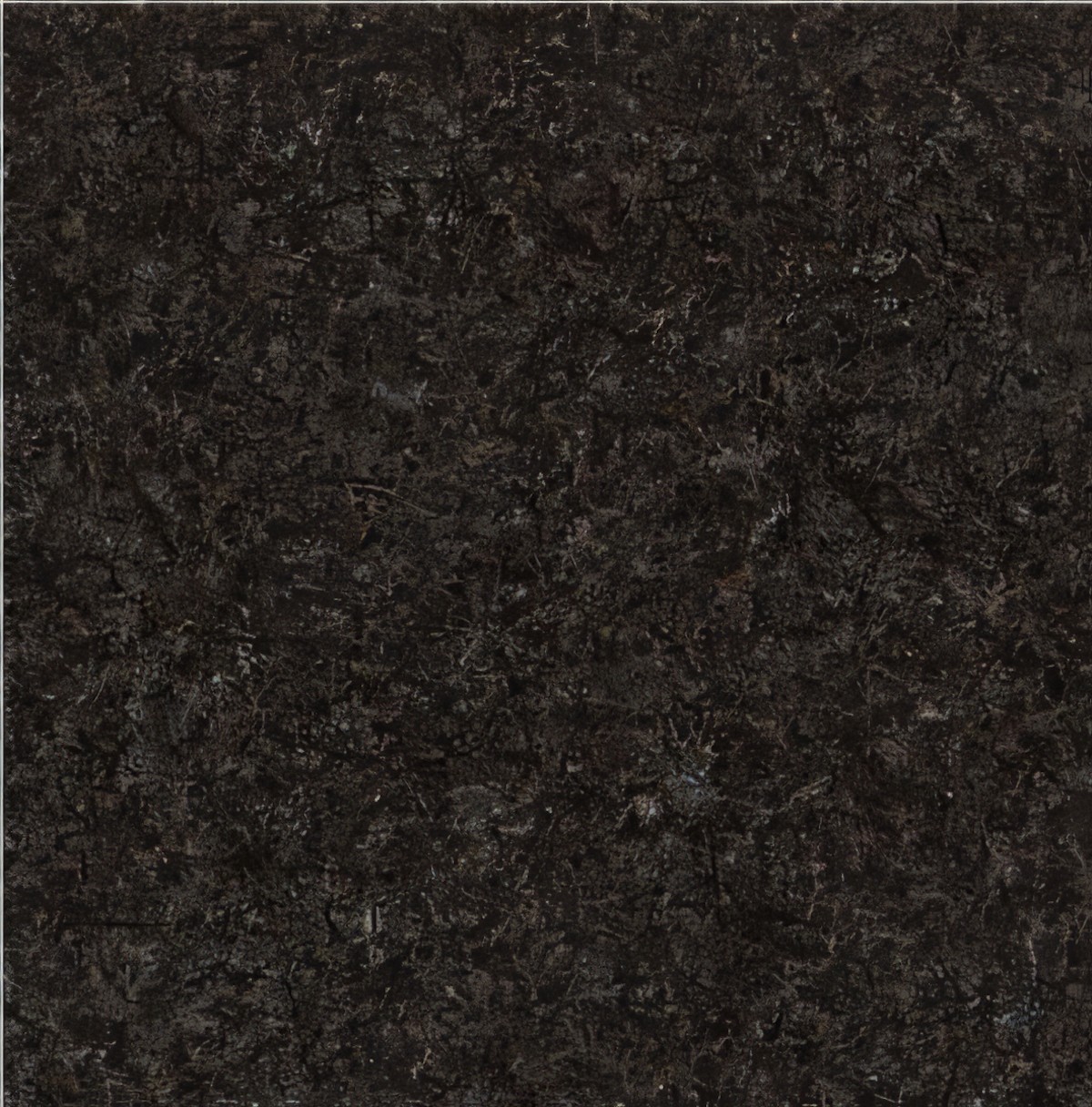 ULG-BSL-074 - Gia Lai Black Basalt