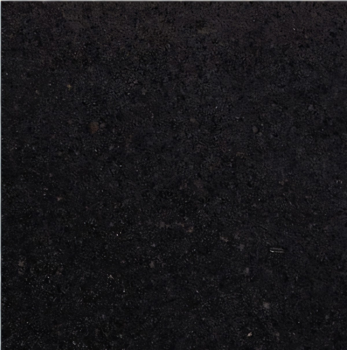 ULG-BSL-077 - Nero Dracula Basalt