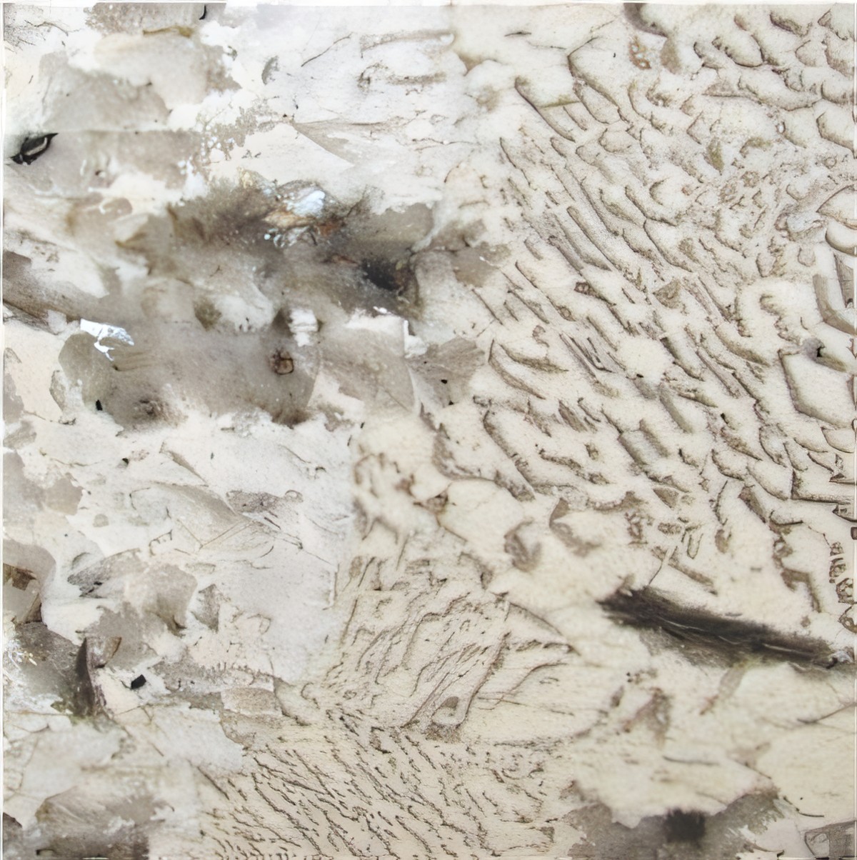 ULG-GRN-003 - Copenhagen Granite