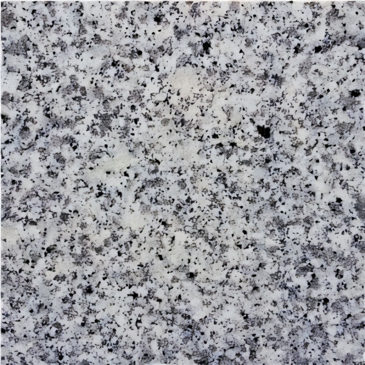 ULG-GRN-011 - Bianco Sardo Granite