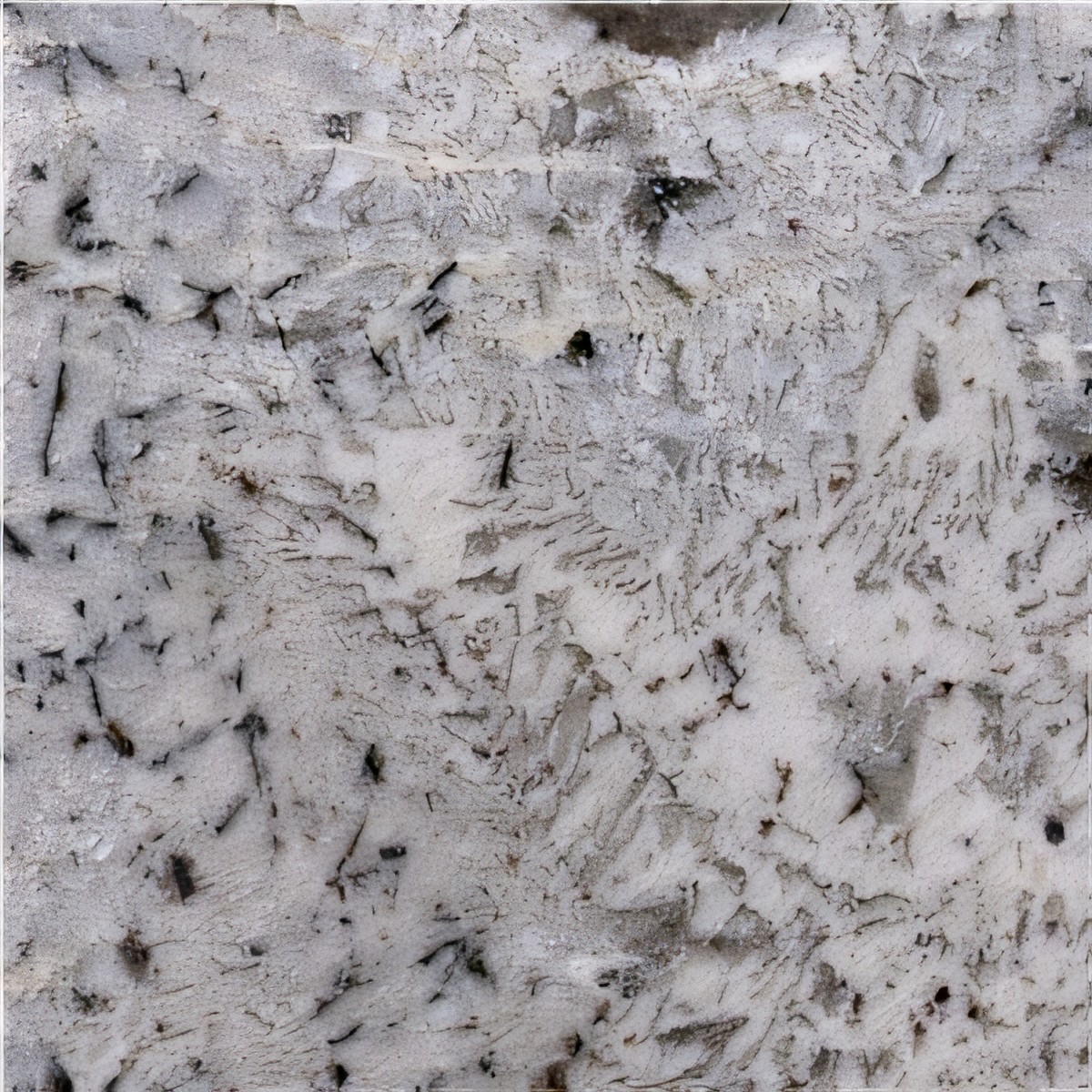 ULG-GRN-012 - Persian Pearl Granite
