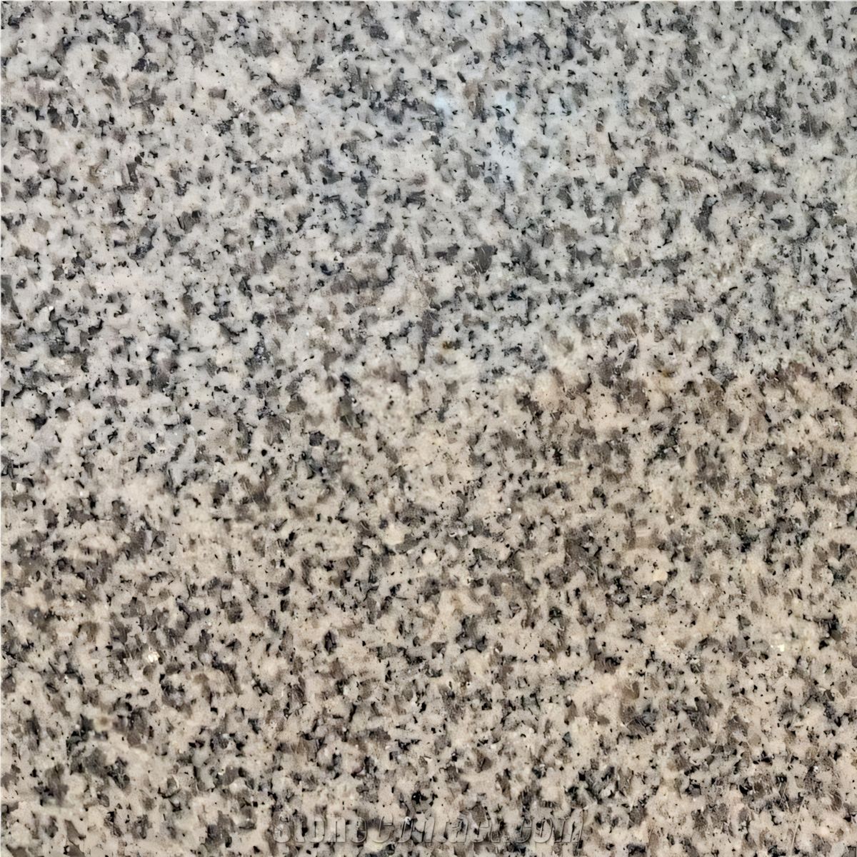 ULG-GRN-013 - G603 Granite