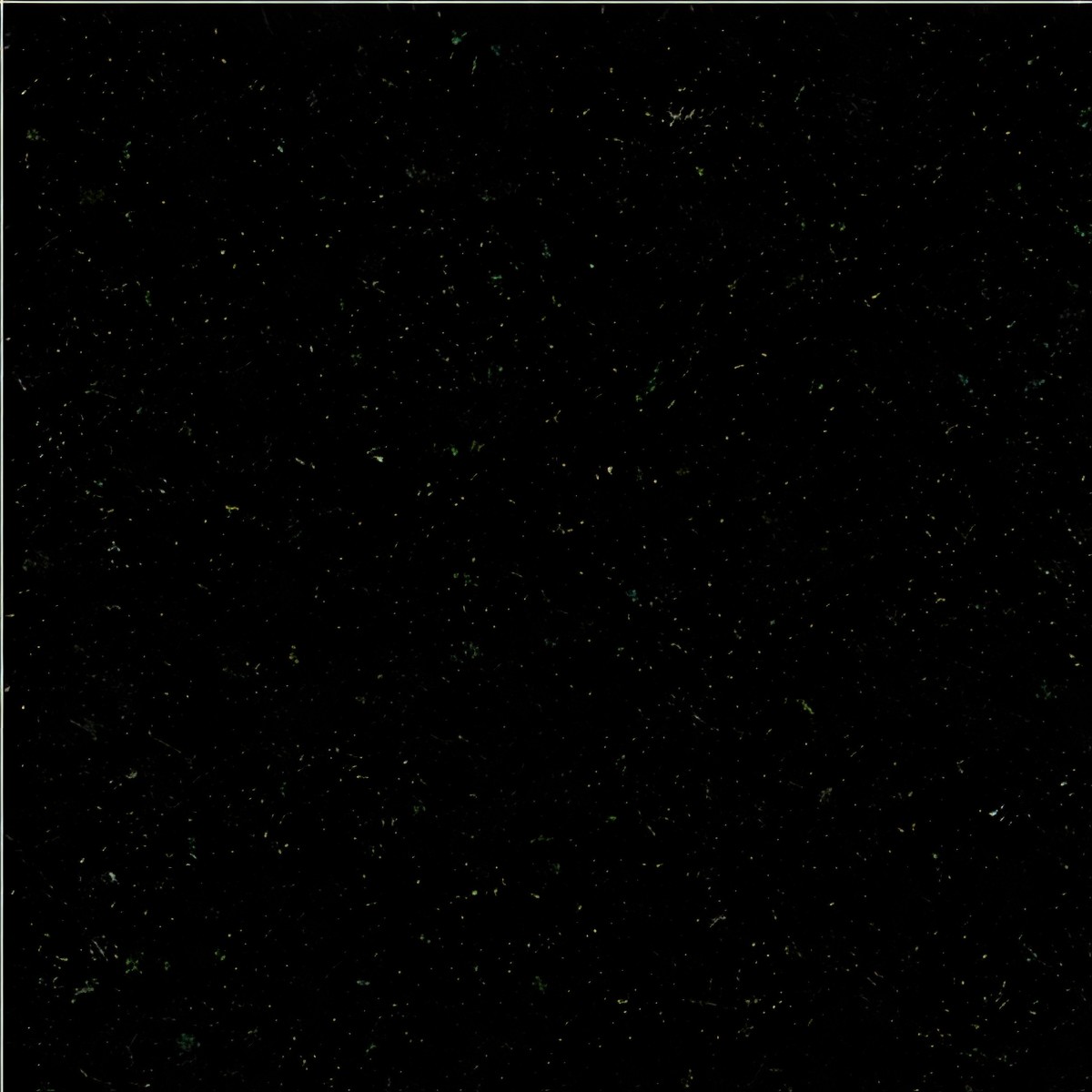 ULG-GRN-032 - Absolute Black Granite