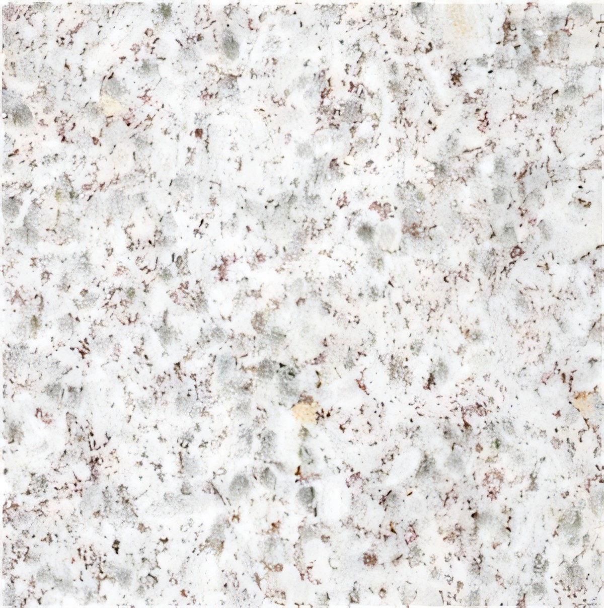 ULG-GRN-033 - China Pearl White Granite