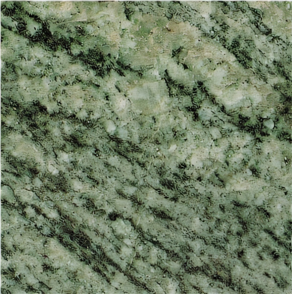 ULG-GRN-049 - Verde Maritaca Granite