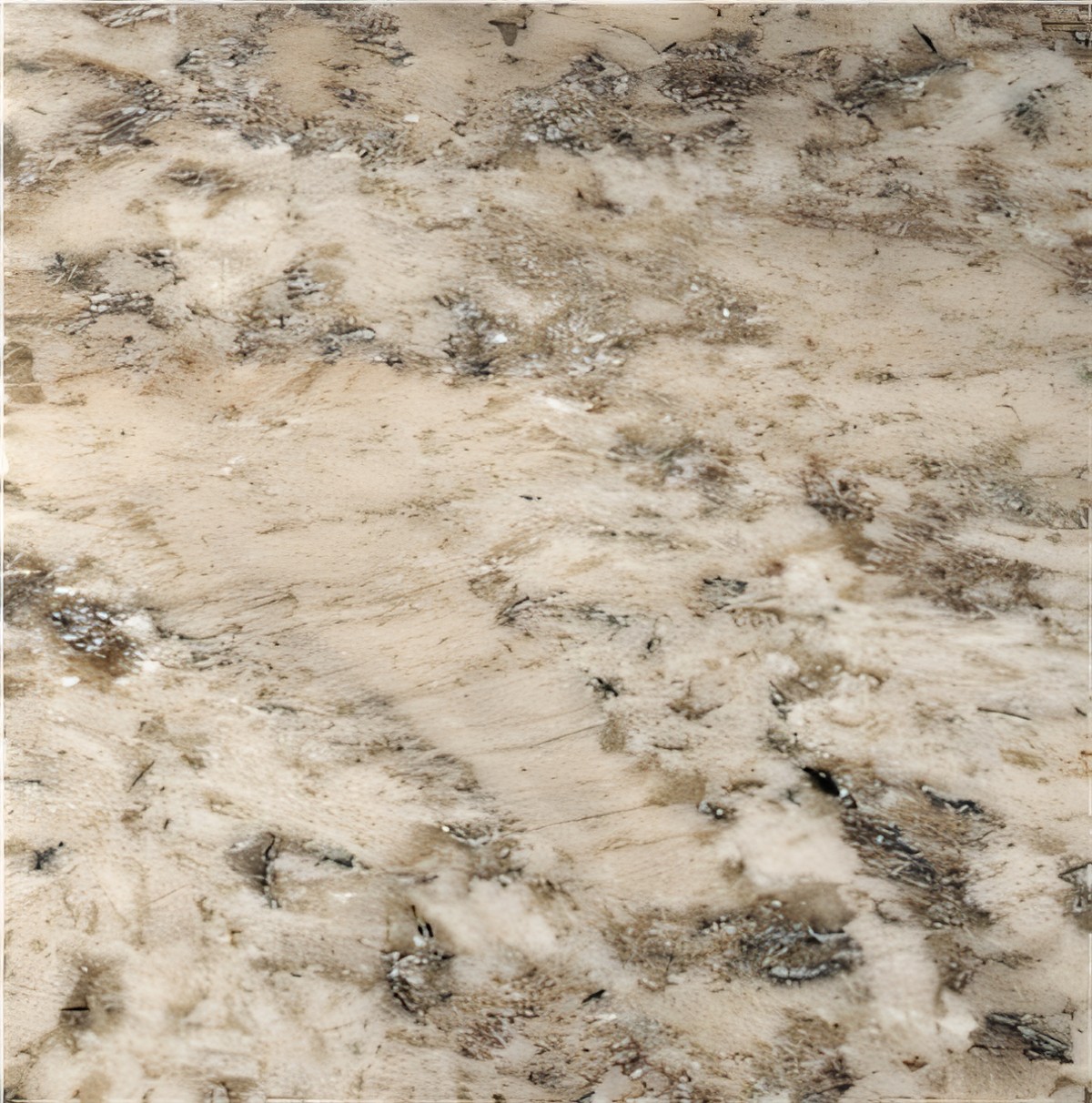 ULG-GRN-054 - White Torroncino Granite