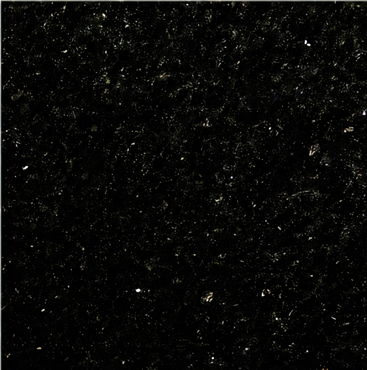 ULG-GRN-076 - Angola Black Granite