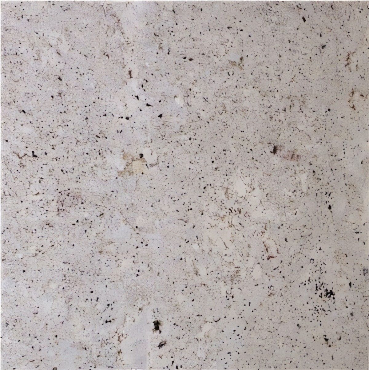 ULG-GRN-081 - Andino White Granite