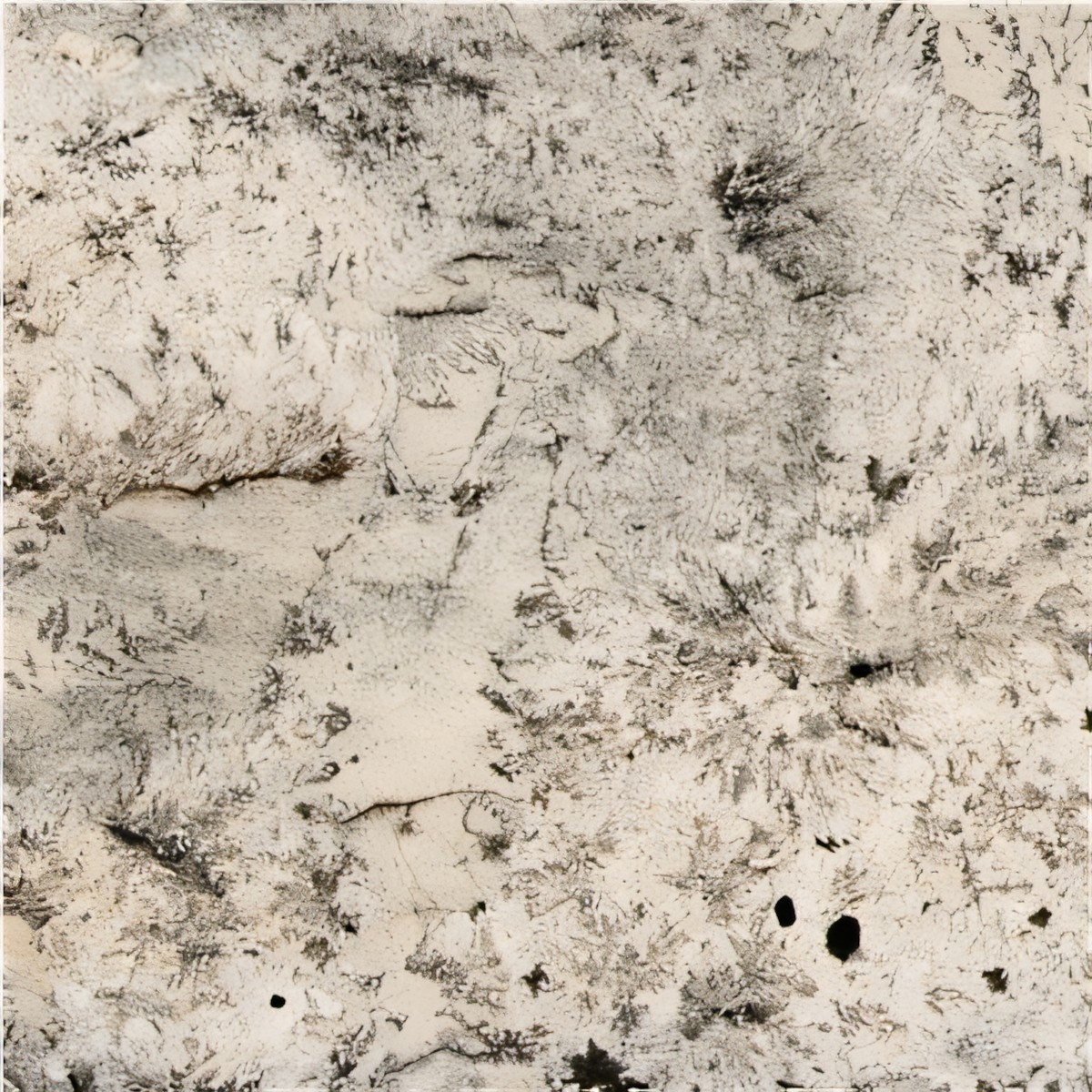 ULG-GRN-082 - White Spring Granite