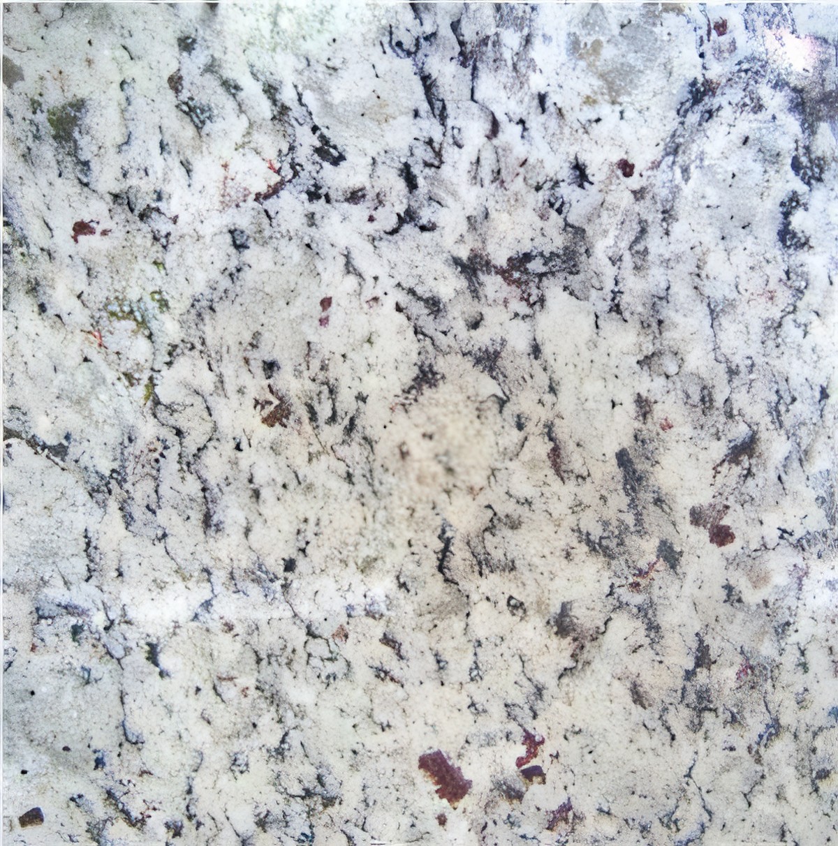 ULG-GRN-088 - White Napoli Granite