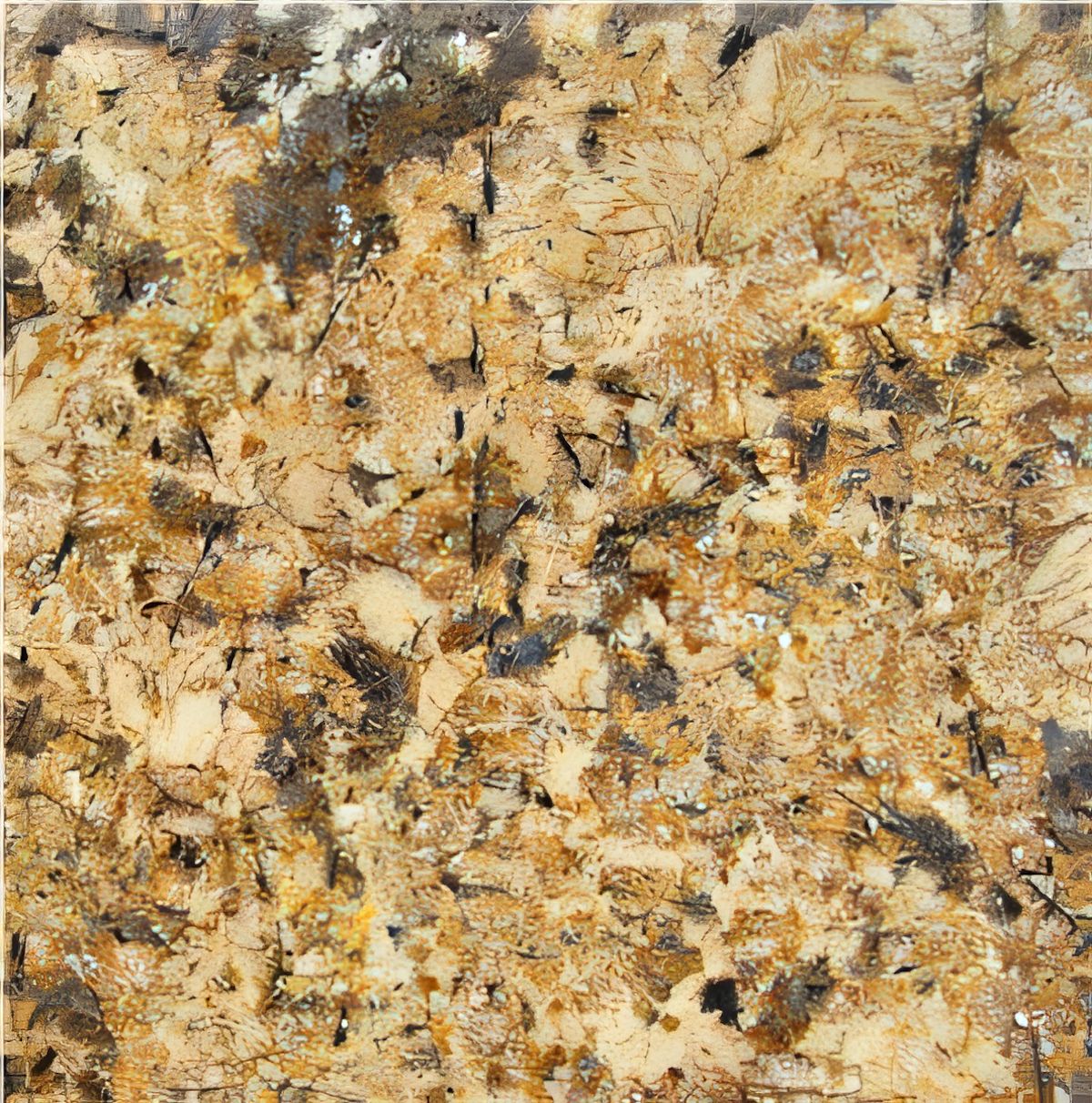 ULG-GRN-092 - Juparana Persa Granite