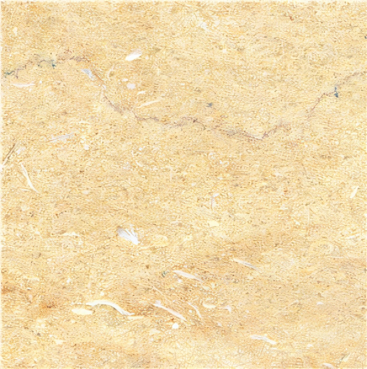 ULG-LMS-007 - Jerusalem Gold Limestone