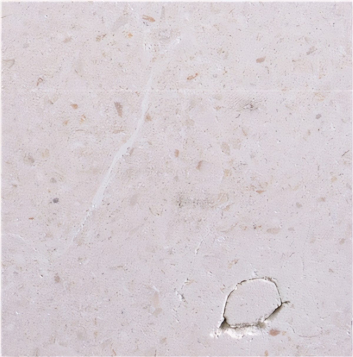 ULG-LMS-015 - Nabresina Limestone
