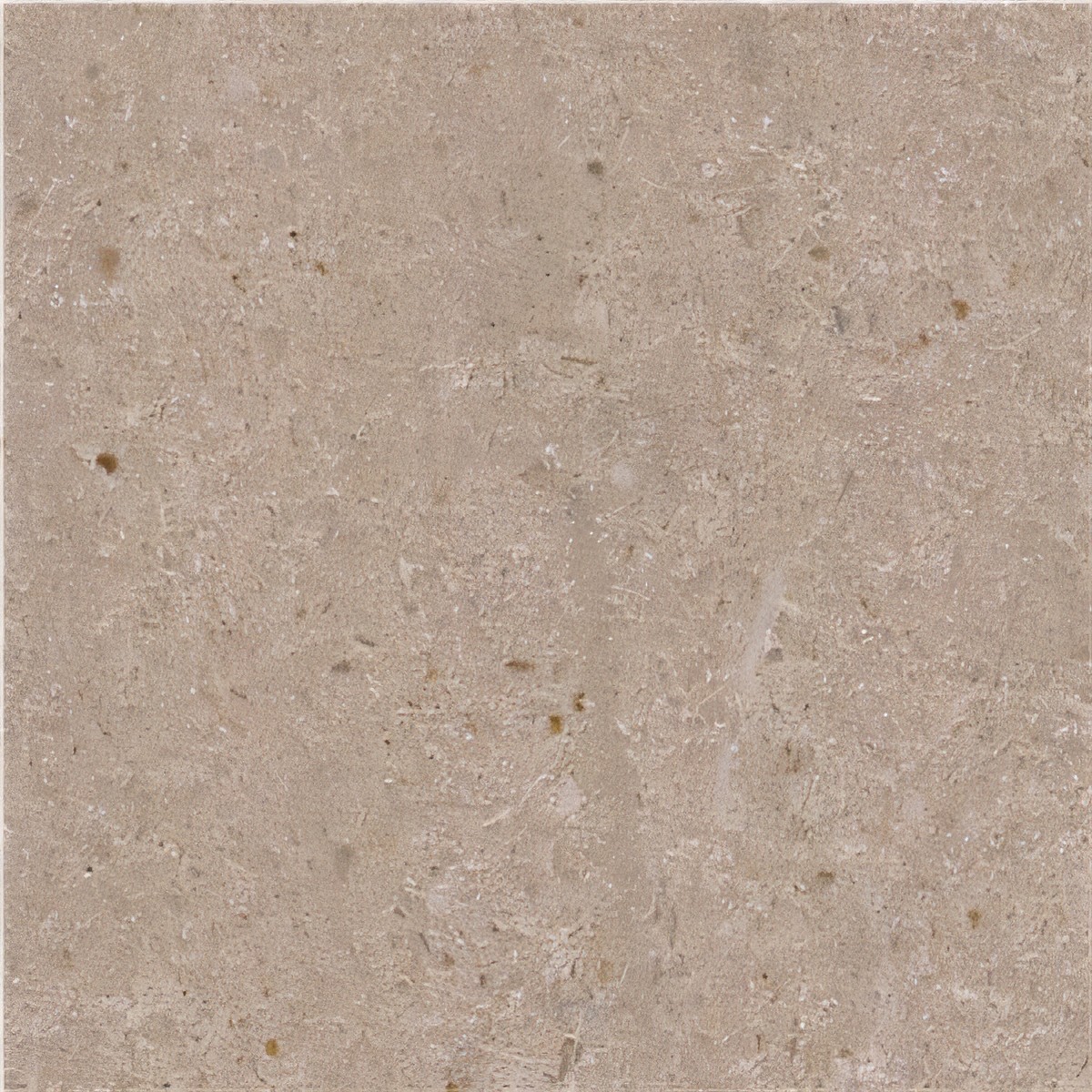 ULG-LMS-019 - Avorio Limestone