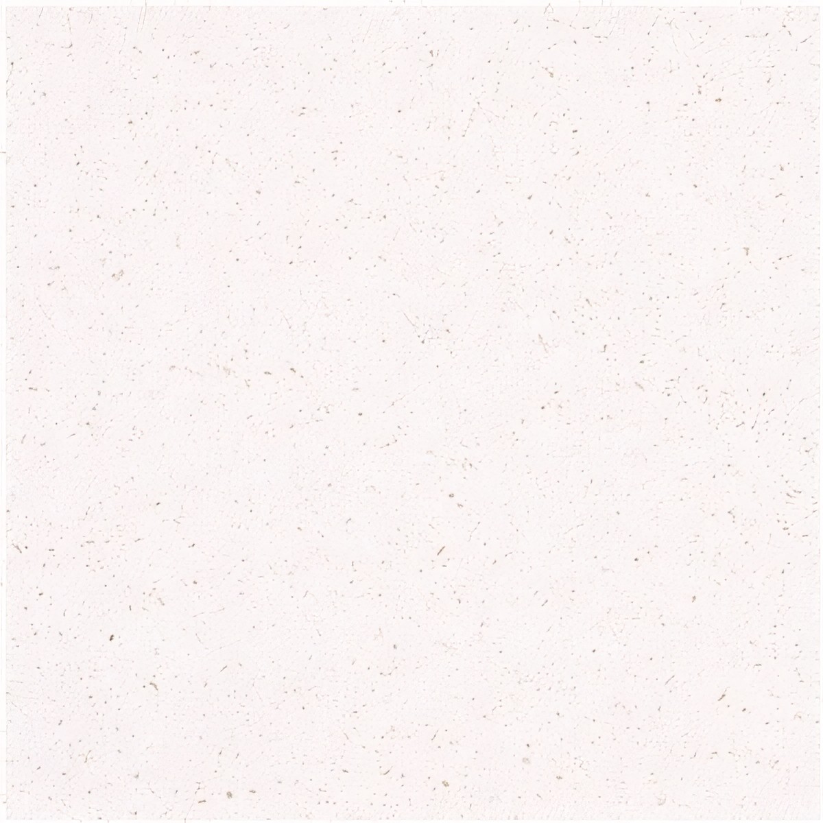 ULG-LMS-033 - Blanca Paloma Limestone
