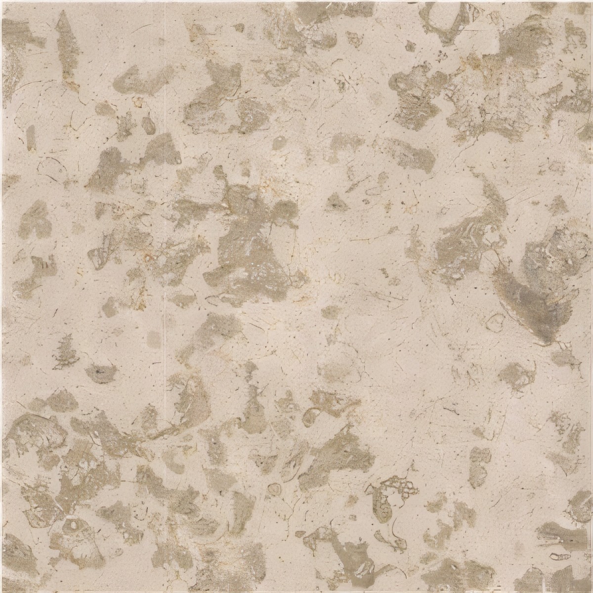 ULG-LMS-034 - Kanfanar Limestone
