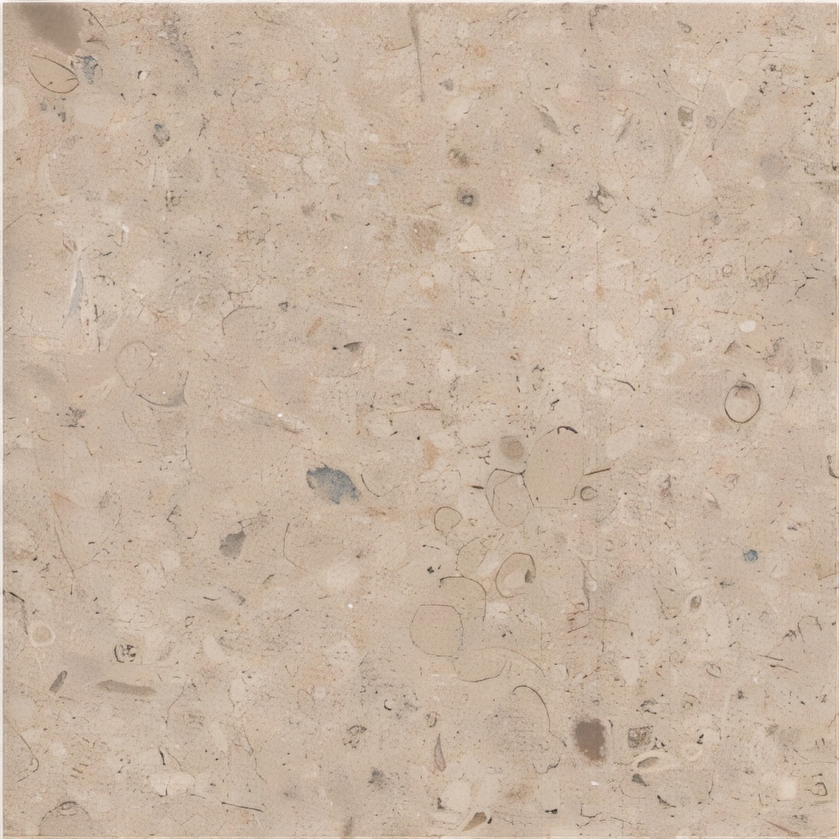 ULG-LMS-035 - Pierre Taza