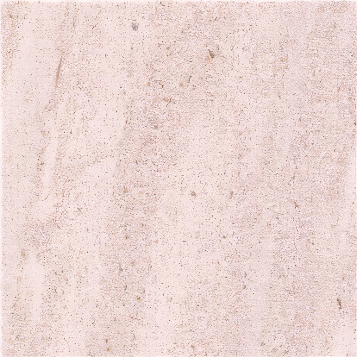 ULG-LMS-037 - Saint Hubert Limestone