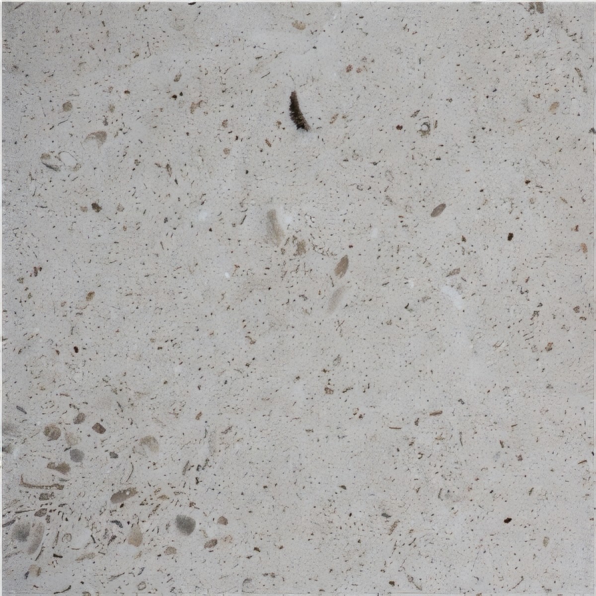 ULG-LMS-038 - Maljat Limestone
