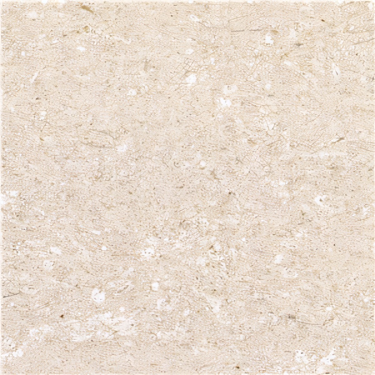 ULG-LMS-039 - Crema Bella Limestone