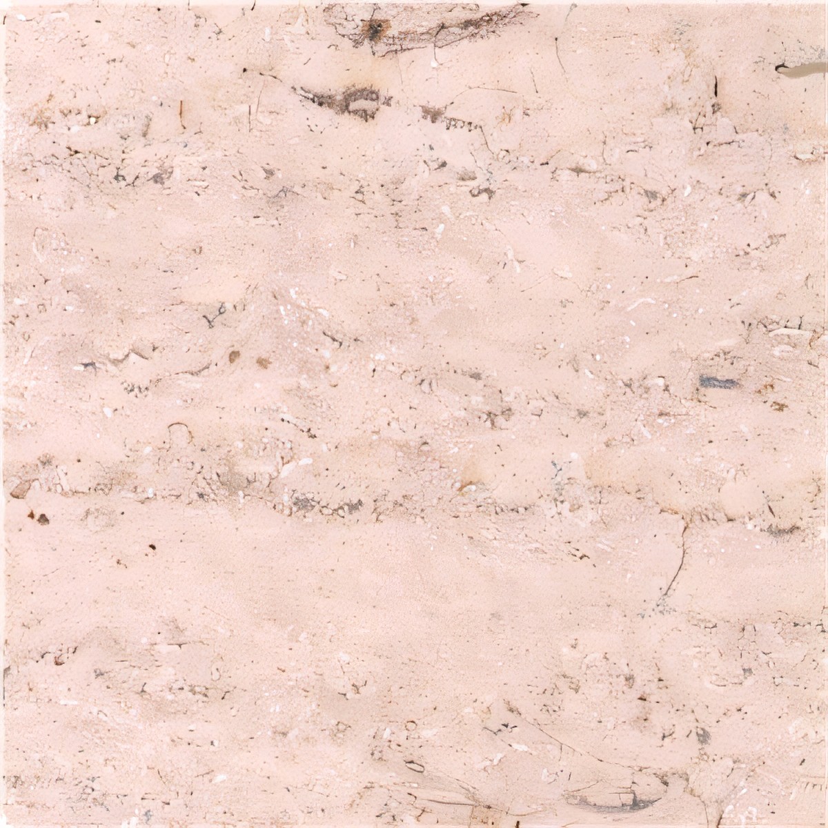 ULG-LMS-047 - Buffon Limestone