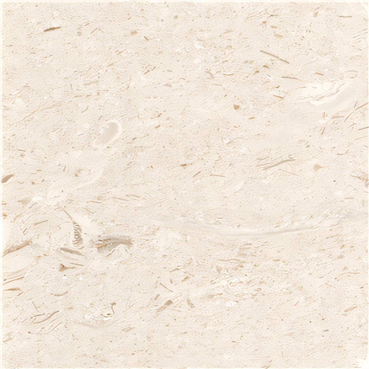 ULG-LMS-048 - Myra Limestone