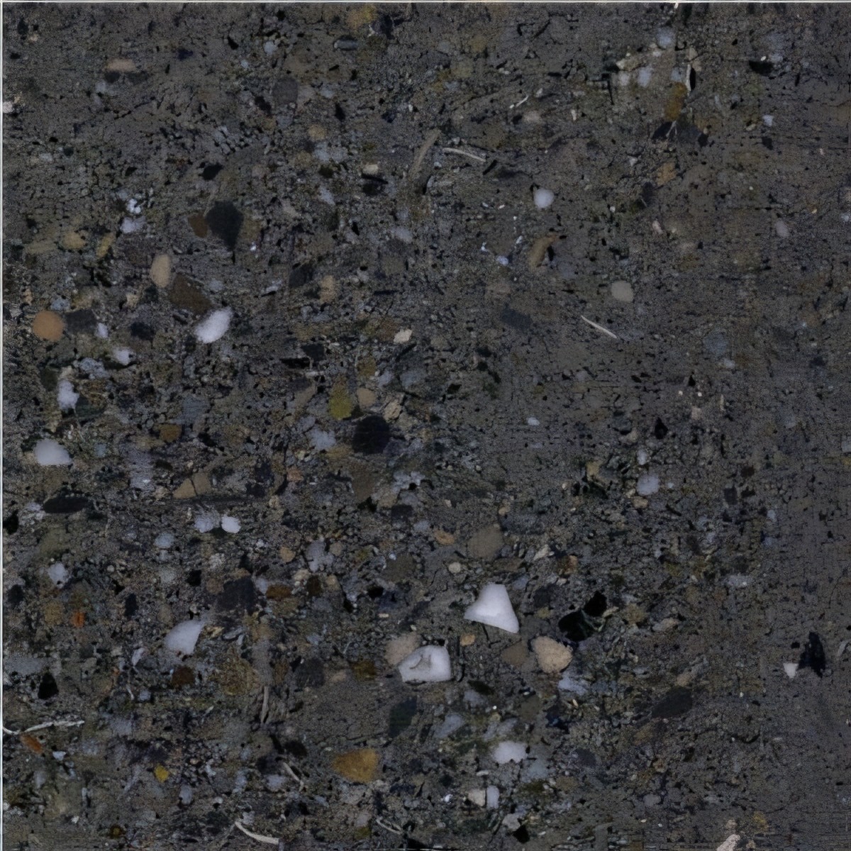 ULG-LMS-049 - San Vicente Limestone