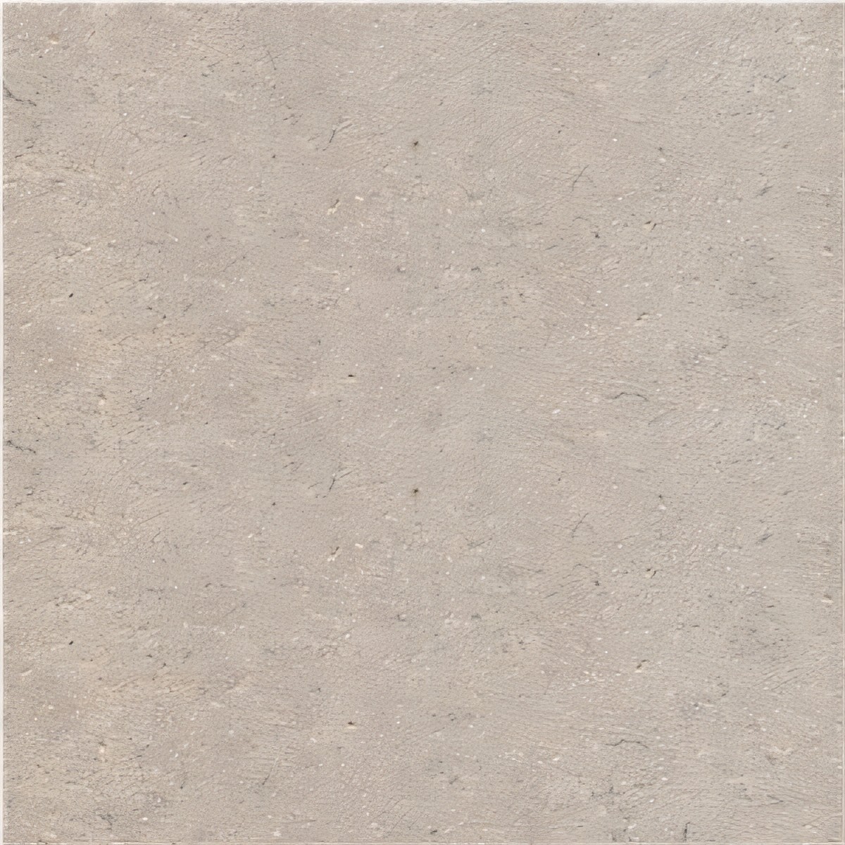 ULG-LMS-051 - Sinai Pearl Limestone