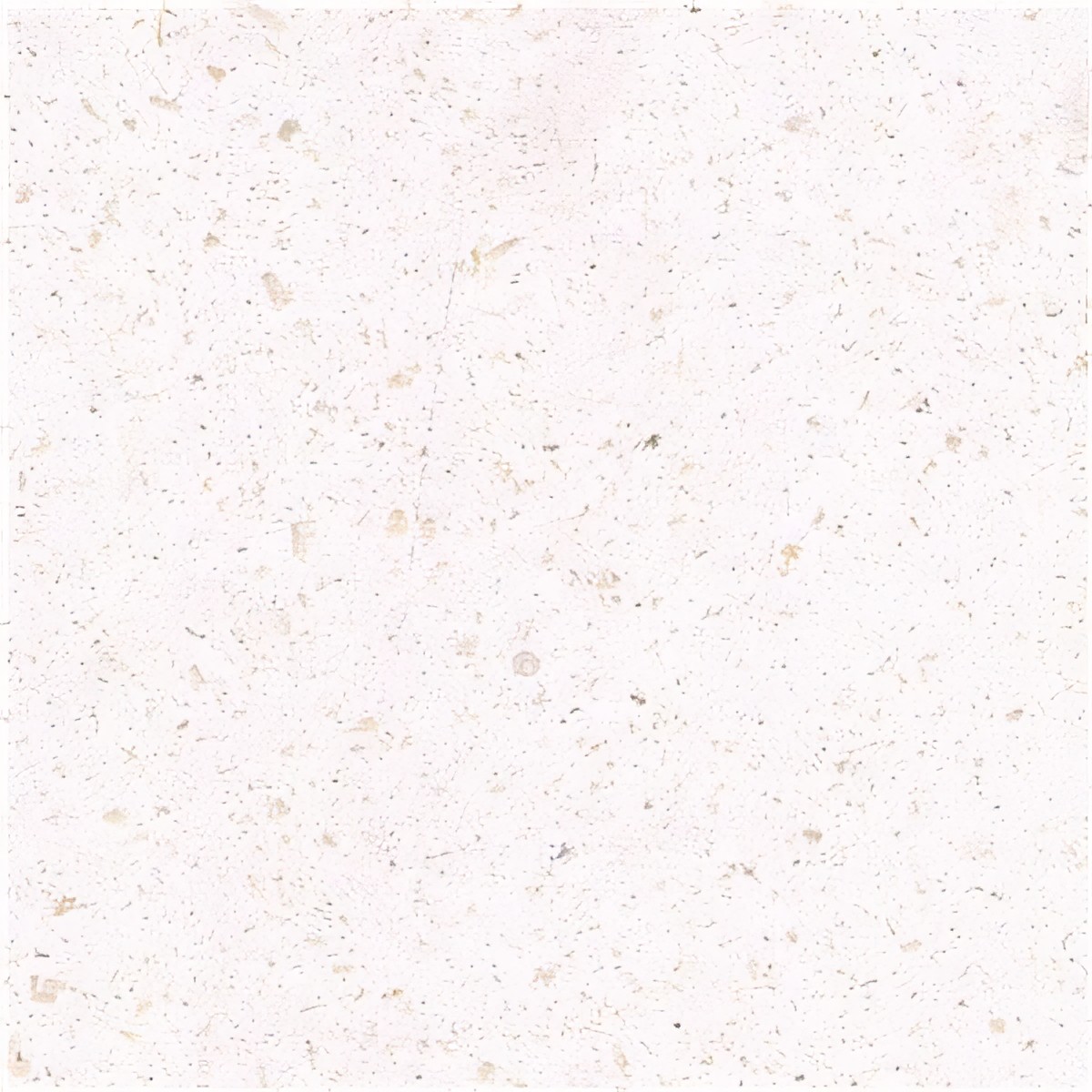ULG-LMS-054 - Crema Bello Limestone