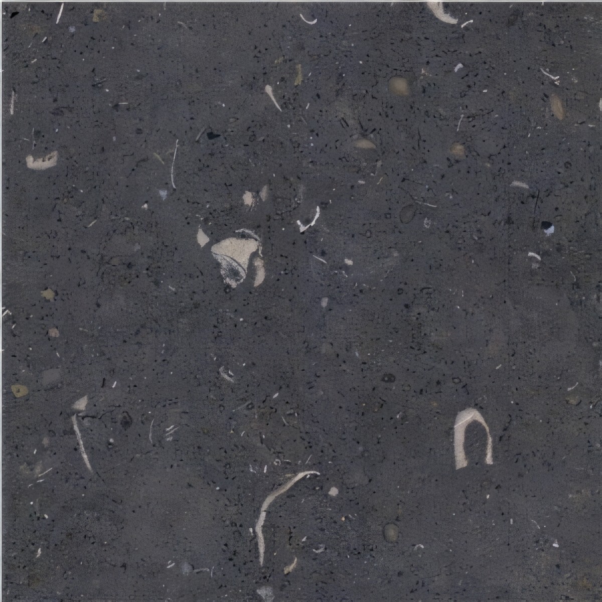 ULG-LMS-057 - Gris De Catalan Limestone