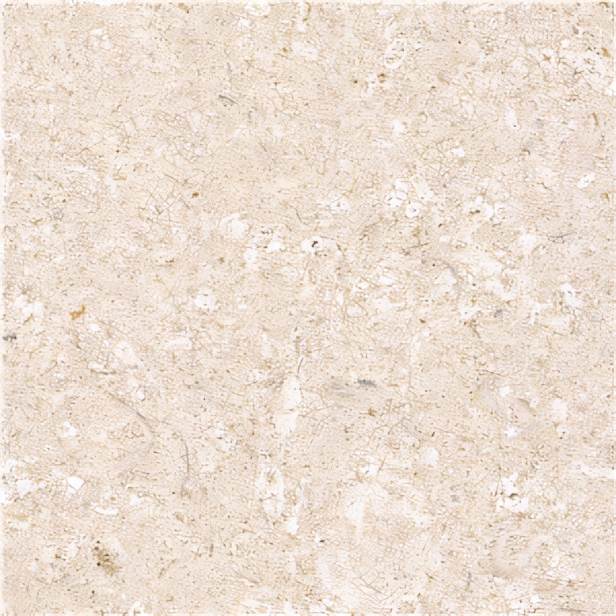 ULG-LMS-064 - Bianco Avorio Limestone