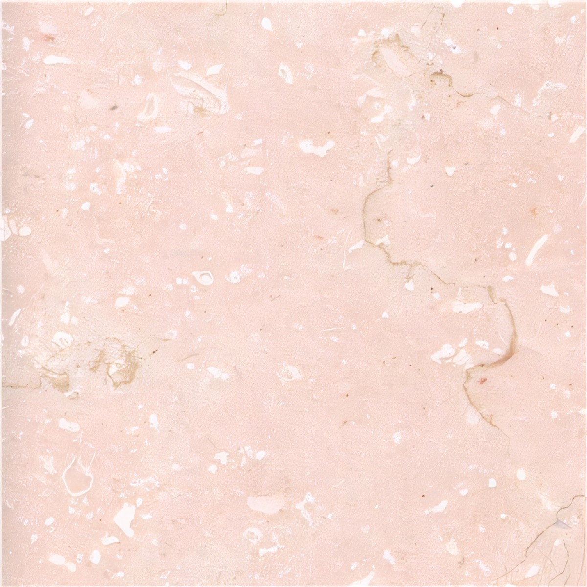 ULG-LMS-069 - Veselje Unito Limestone