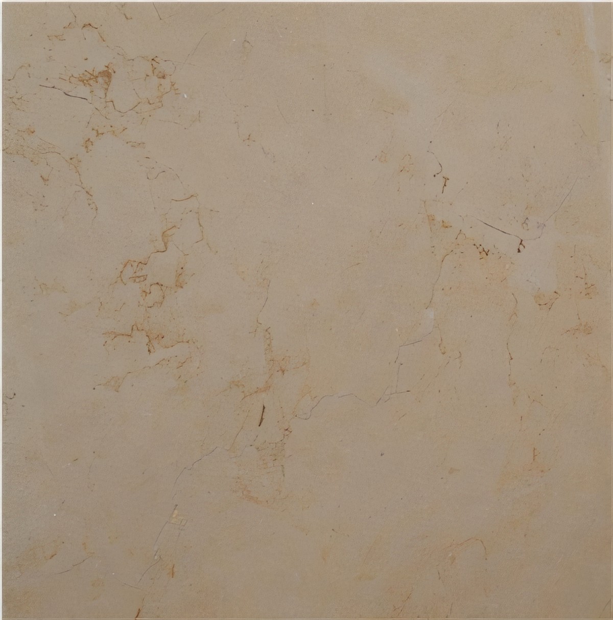 ULG-LMS-075 - Hauteville Limestone
