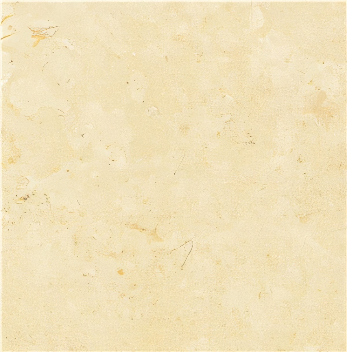 ULG-LMS-078 - Balzac Limestone