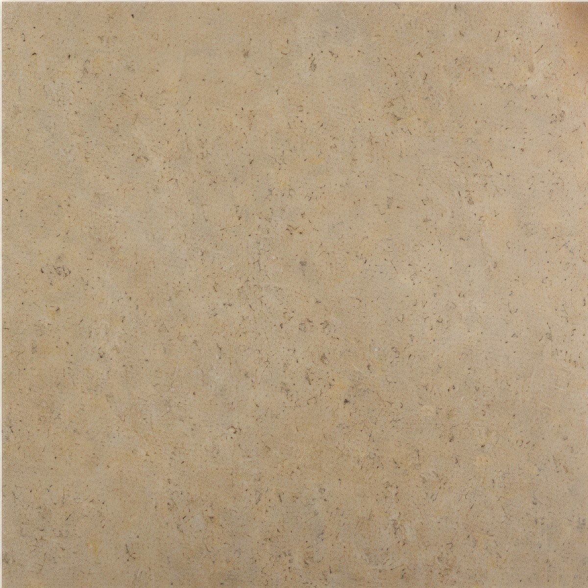 ULG-LMS-080 - San Sebastian Limestone