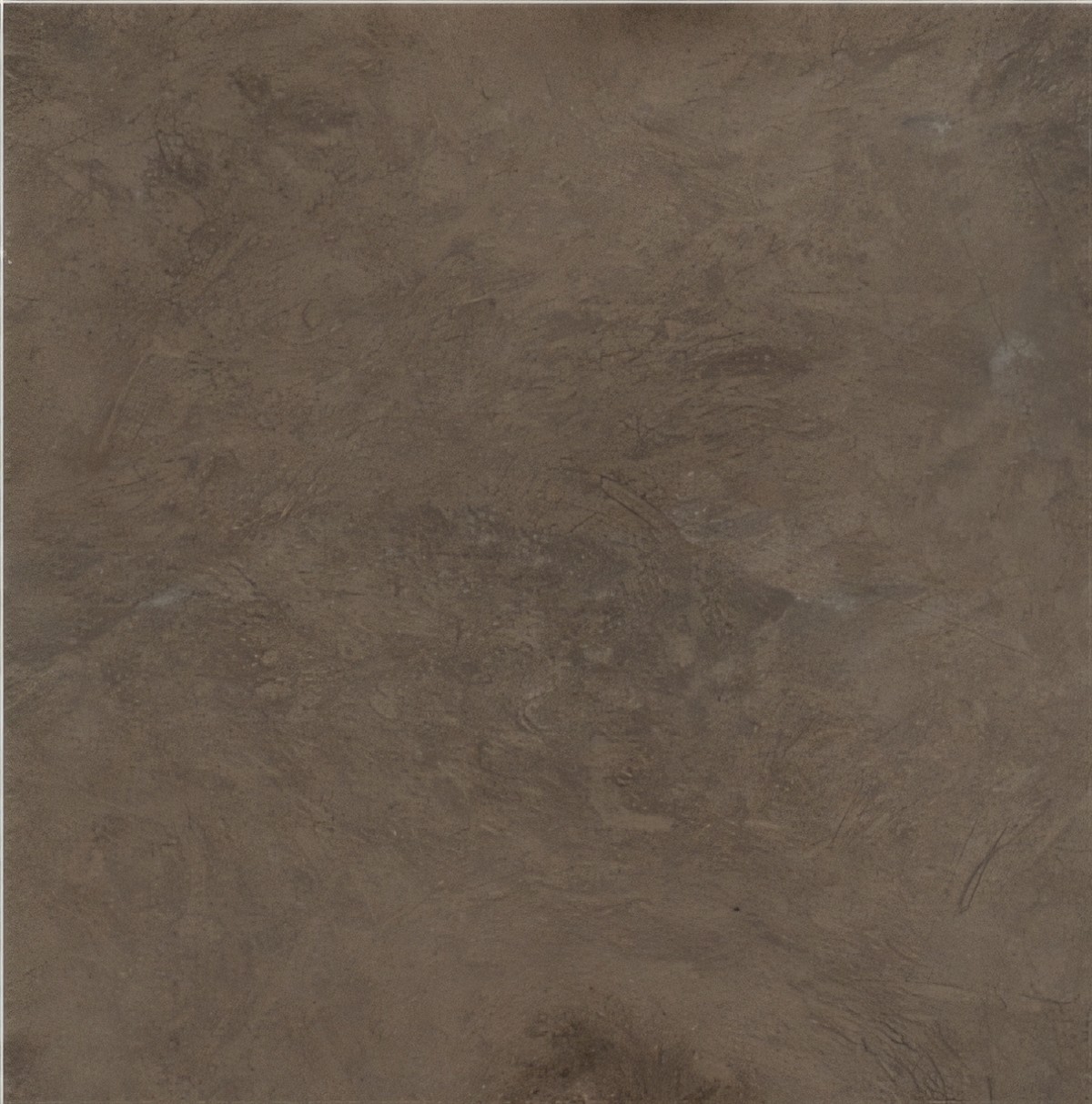 ULG-LMS-083 - Grey Foussana Limestone