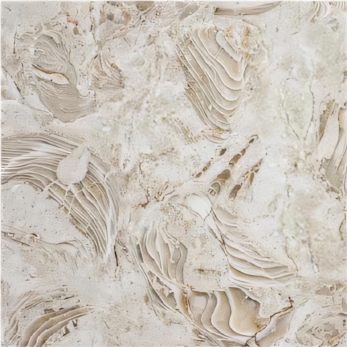 ULG-LMS-088 - Shells Reef Beige Limestone