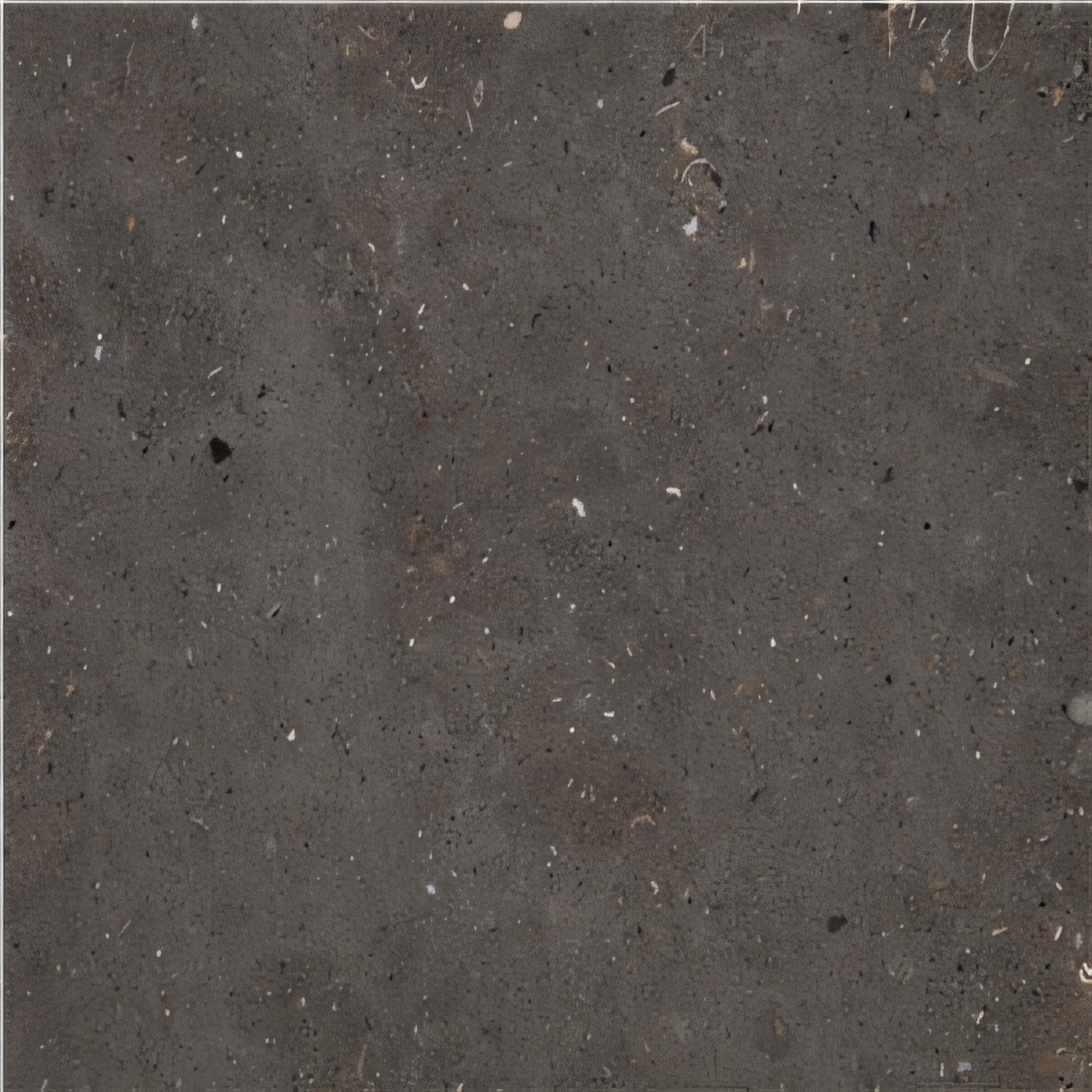 ULG-LMS-089 - Moon Grey Limestone