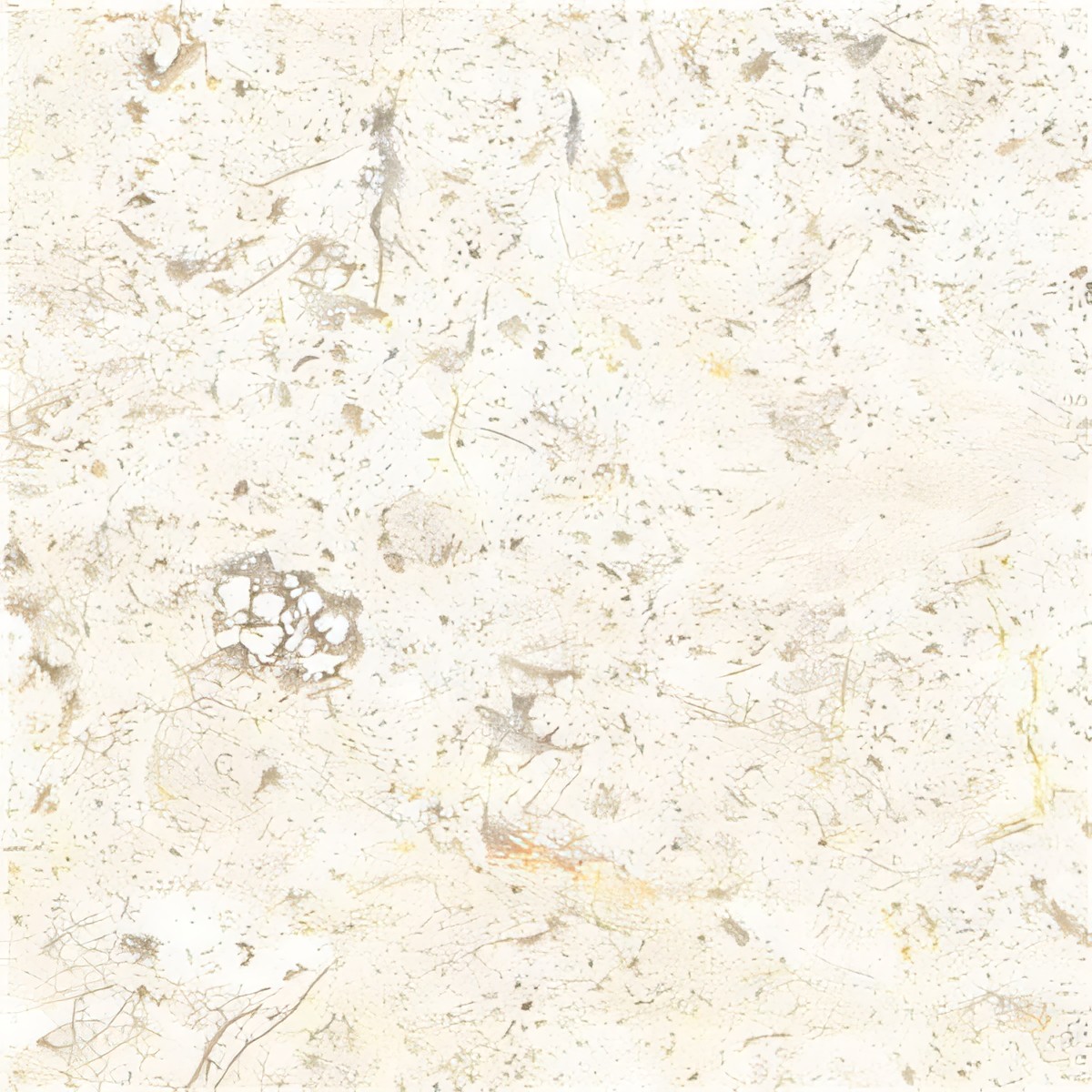 ULG-LMS-091 - Jerusalem White Limestone