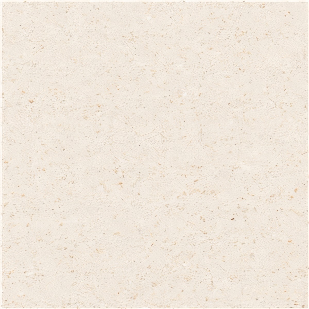 ULG-LMS-092 - Adalya Limestone