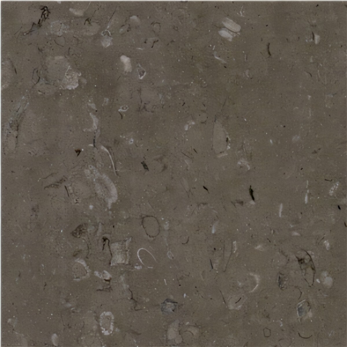 ULG-LMS-095 - Lipica Fiorito Limestone